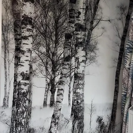 Dom Z Bala Sauna Jacuzzi Saunowisko Biale Bloto (Olesnica)