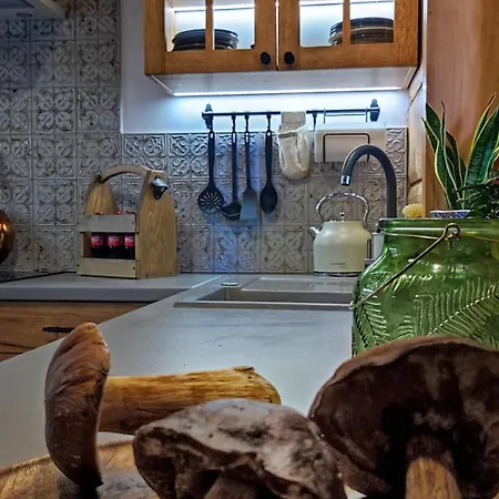 Dom Z Bala Sauna Jacuzzi Saunowisko