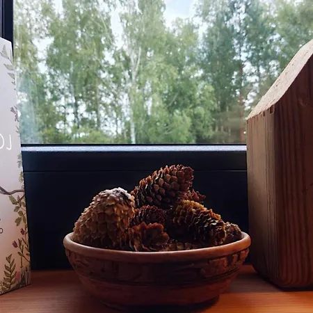 Сasa de vacaciones Dom Z Bala Sauna Jacuzzi Saunowisko