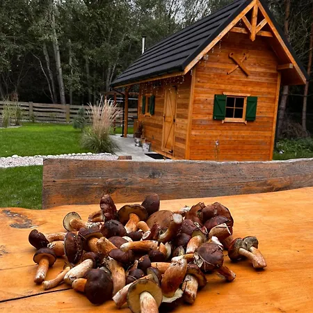 Dom Z Bala Sauna Jacuzzi Saunowisko