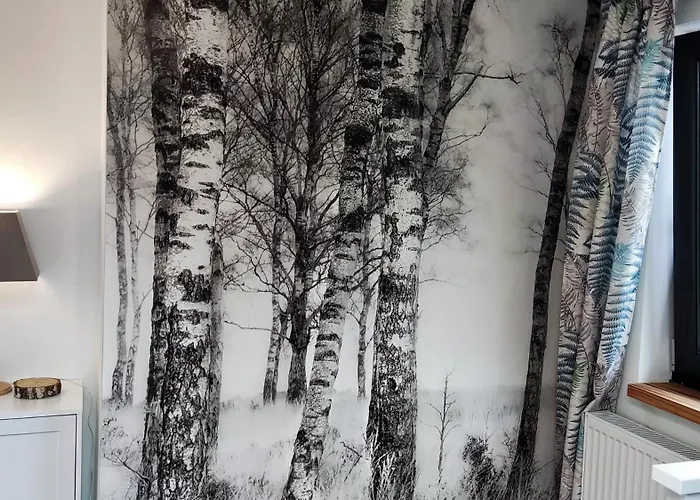 Dom Z Bala Sauna Jacuzzi Saunowisko Biale Bloto (Olesnica)