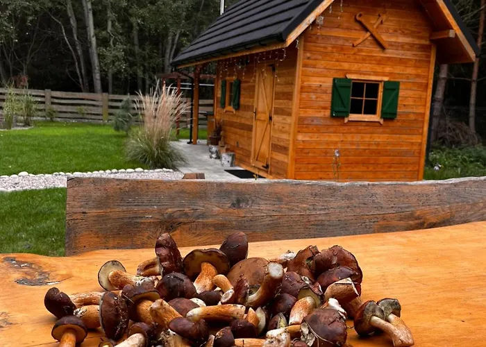 Dom Z Bala Sauna Jacuzzi Saunowisko